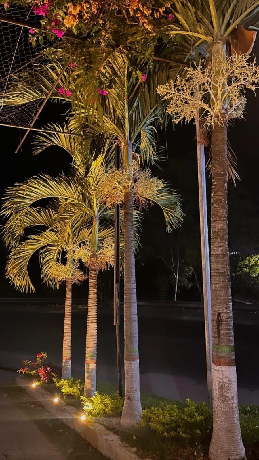 סנטה אנה Villa Napoli מראה חיצוני תמונה